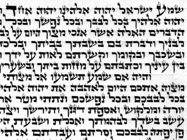 כל תשמישי הקדושה קלף מזוזה בכתב אשכנזי (בית יוסף), גודל 15 ס'מ 