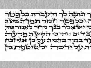 כל תשמישי הקדושה קלף פרשיות תפילין של יד, כתב בית יוסף מהודר, בהזמנה בלבד