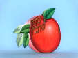 כרטיס ברכה לראש השנה בצורת תפוח עם סימני החג וצלוחית דבש  לחץ לצפיה בהגדלה